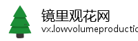 镜里观花网